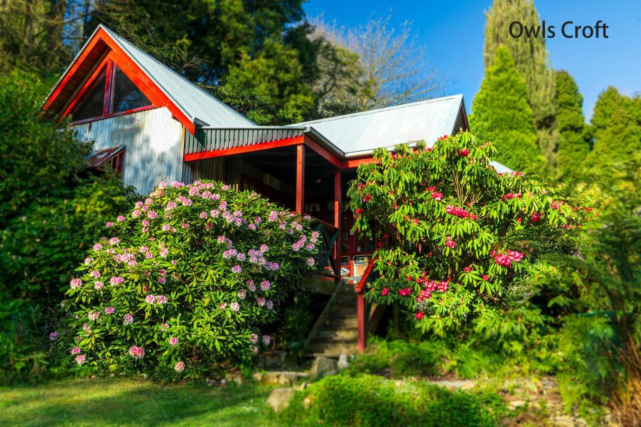 Observatory Cottages Маунт-Данденонг Экстерьер фото