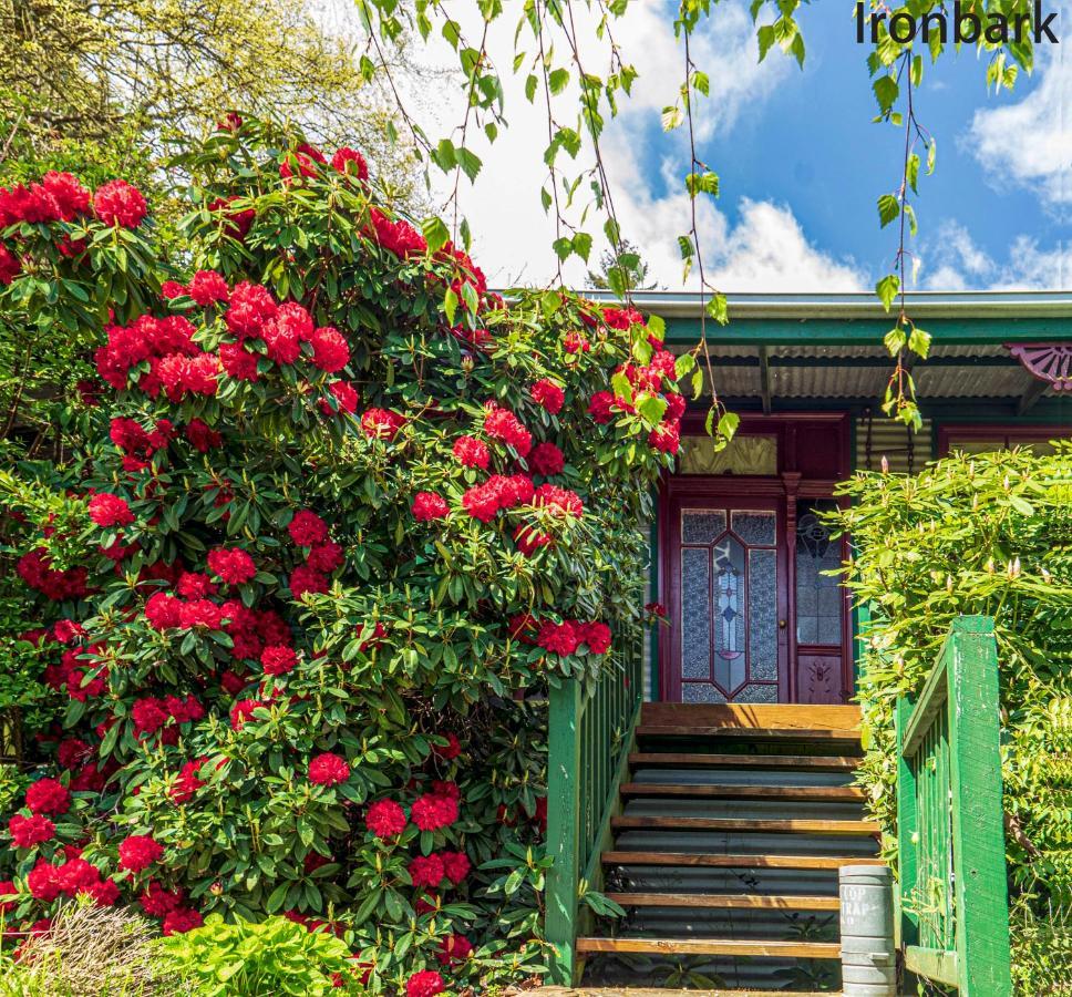 Observatory Cottages Маунт-Данденонг Экстерьер фото